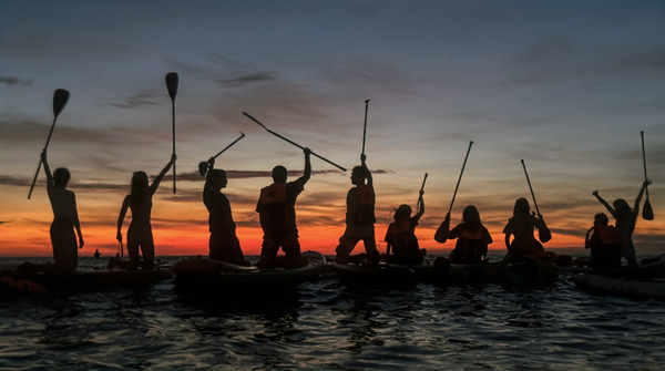 Partner Case Study: New Waves